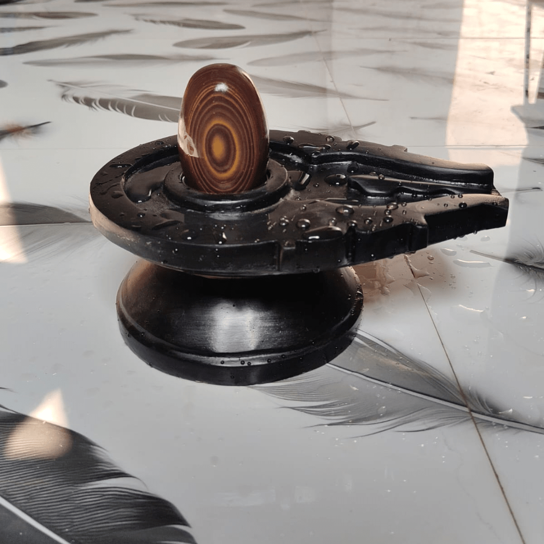 5” Premium Ring Pattern Narmadeshwar Shivling with 10” Black Jaladhari Base – Natural Concentric Stone Design