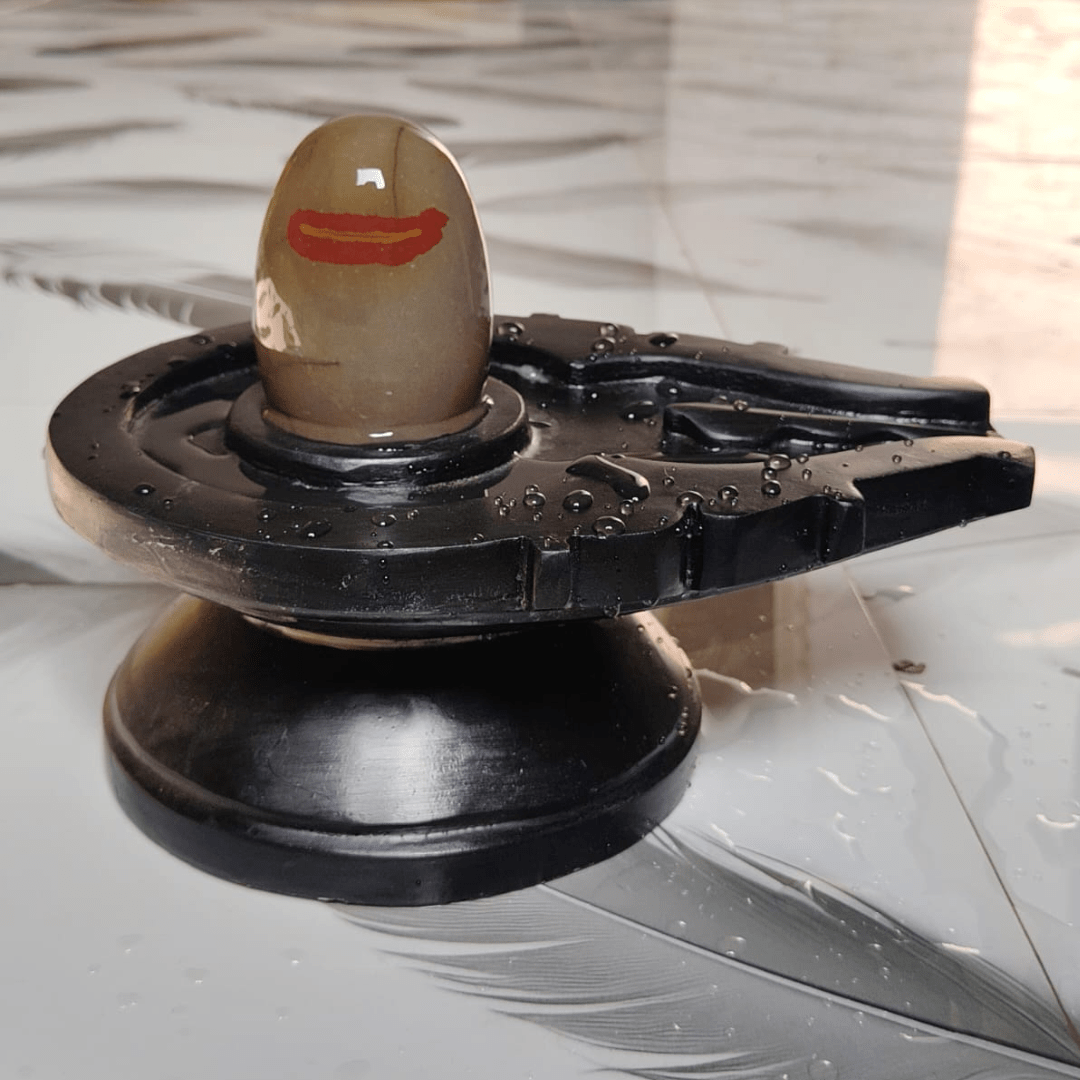 5” Sacred Tilak Design Narmadeshwar Shivling with 10” Premium Black Jaladhari Base
