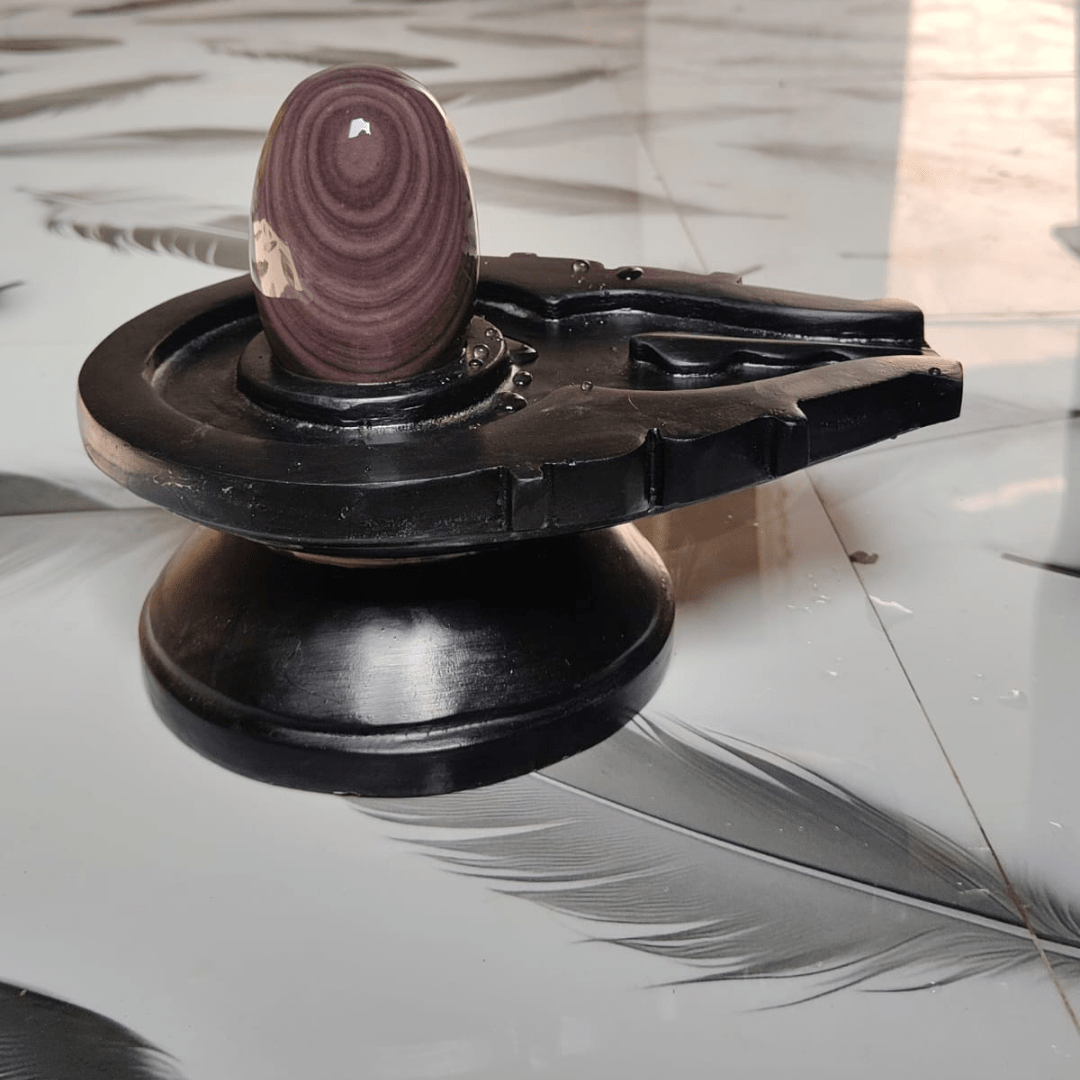 5” Premium Ring Pattern Narmadeshwar Shivling with 10” Black Jaladhari Base – Natural Circular Stone Finish